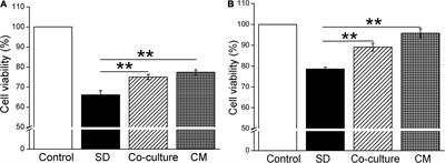 Conditioned Medium of Bone Marrow Mesenchymal Stem Cells Involved in Acute Lung Injury by Regulating Epithelial Sodium Channels via miR-34c